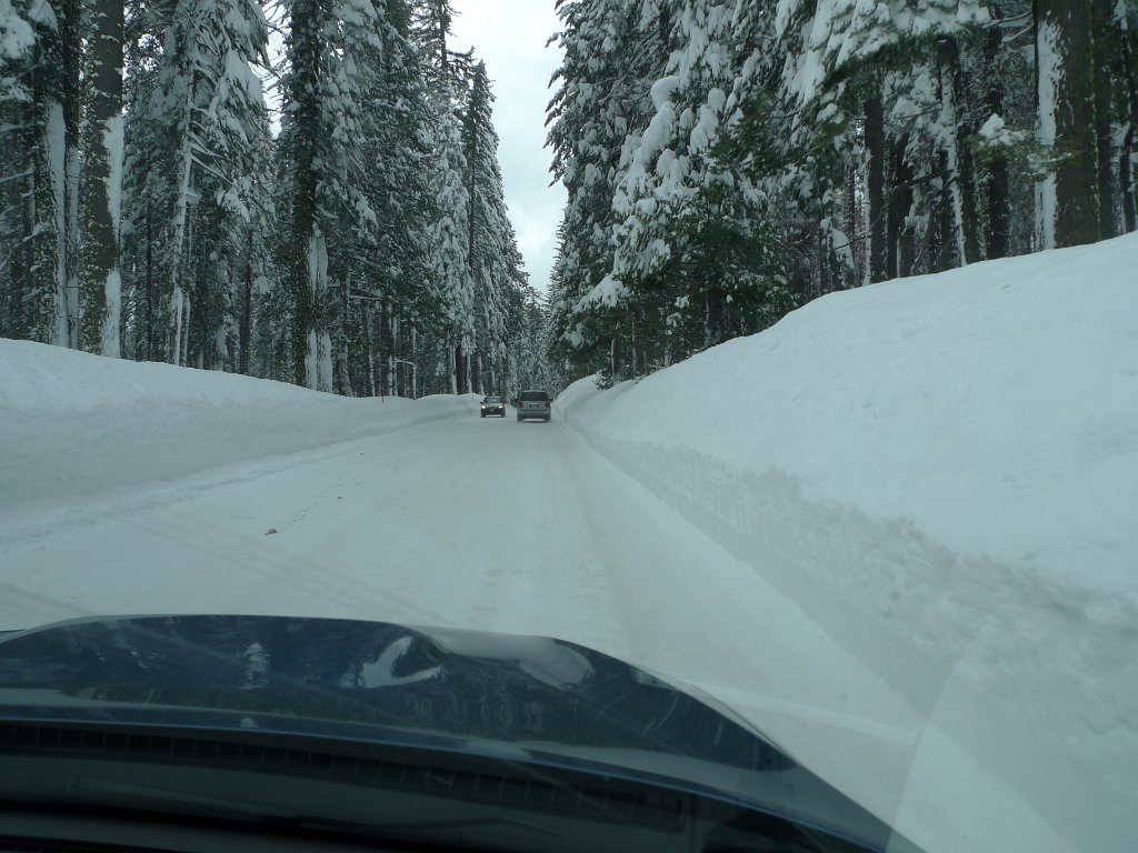 Yosemite_Valley (117).JPG